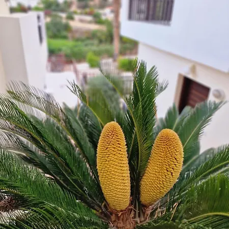 Skoutari Sunset 1 Bedroom *