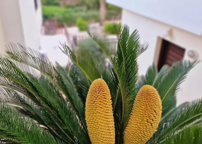 Skoutari Sunset 1 Bedroom *